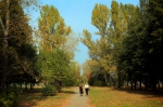 Осенний Барнаул Фото