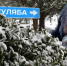 Йети - НовостиАлтая.рф