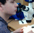Молодые ученые-энтомологи БФ прошли стажировку в Институте систематики и экологии животных СО РАН - АлтГУ