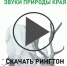 «Катунь 24» запускает проект «Слушай Алтай» - Алтайская правда