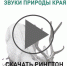 17499582_1367720979954708_5741478964221738284_n.jpg - Управление по печати и информации