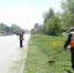 В Барнауле приступили к стрижке газонов - Barnaul-Altai.Ru