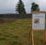 Tae_2341_thumb_main - Sibnovosti.ru