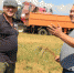Горячая пора алтайского хлеба - Каменская народная газета