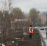 Яблоневую аллею заложили на ул. Профинтерна в Барнауле - АиФ - Алтай