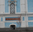 На Мемориале Славы обновят зеленую изгородь из  елей - Администрация г. Барнаул