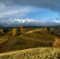 1498227094_thumb_main - Sibnovosti.ru