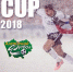 "ICE CUP": приглашаем желающие команды - Altaifootball.Ru