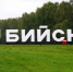 Более 200 участников собрали в Бийске Всероссийские соревнования по самбо - НовостиАлтая.рф