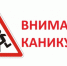 Школа безопасности: детский отдых без происшествий - МЧС Алтайского края