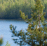 Rian_03126654.hr_.ru__thumb_main - Sibnovosti.ru