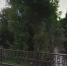 СК выяснит причину смерти мужчины, найденного под мостом в центре Барнаула - ИА Амител