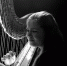 Concert-1335780_640_thumb_main - Sibnovosti.ru