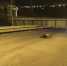 Фото: vlc.ru | Во Владивостоке обрушившийся виадук полностью парализовал движение - НовостиАлтая.рф