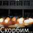 Стал известен круг общения керченского убийцы перед трагедией - НовостиАлтая.рф