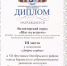 Диплом волонтерам.jpg - Управление культуры