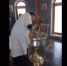 Священник, ударивший ребенка во время крещения головой о купель, отстранен - ИА Амител