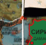 Сирия - НовостиАлтая.рф