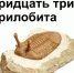 тришка.jpg - Администрация г. Барнаул