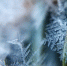 Фото: pixabay.com - ИА Амител