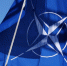 Ранее Россия предложила США уничтожить оружие, нарушающее ДРСМД / Фото: cod61.ru - ИА Амител