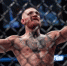 30-летнего спортсмена задержали по подозрению в грабеже / Фото: mmapunch.ru - ИА Амител