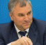 По словам спикера парламента Вячеслава Володина, обсуждение не затянется / Фото: dialog1918.ru - ИА Амител
