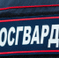 Сотрудник Росгвардии освобожден от занимаемой должности / Фото: шаховскаямо.рф - ИА Амител