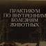 <span class="sige_js_title">11_-_0001</span> - АГАУ