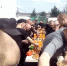 Прокуратура и ФСИН проверяют видеозапись из орловской колонии №2 в городе Ливны - Яблоко
