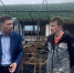 Скончались дети, пострадавшие при пожаре в палаточном лагере - ИА Атмосфера