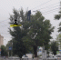 Штаны на троллейбусных проводах в центре Барнаула заметили утренние прохожие - НовостиАлтая.рф