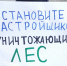 Массовый пикет против вырубки ленточного бора пройдёт в Барнауле - ИА Атмосфера