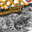 В Барнауле пройдет рок-концерт в защиту животных - Вечерний Барнаул