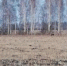 Фото: 'Вестник целины' - ИА Амител