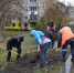 МУП «Горзеленхоз» и волонтеры высадили деревья в центре Барнаула - Администрация г. Барнаул
