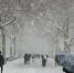Фото: pixabay.com - ИА Амител