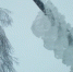 ____thumb_main - Sibnovosti.ru