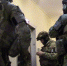 _______thumb_main - Sibnovosti.ru
