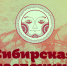 Игорь Степаненко провел заседание оргкомитета фестиваля «Сибирская масленица» - Barnaul-Altai.Ru