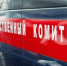 Фото: ngsnovoros.ru - ИА Амител