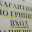 В Алтайском крае введены ограничительные мероприятия в связи с подъемом заболеваемости острыми респираторными вирусными инфекциями (ОРВИ) и гриппом - Министерство здравоохранения