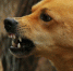 Фото: pixabay.com - ИА Амител