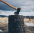 Фото: unsplash.com - ИА Амител
