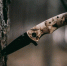 Фото: unsplash.com - ИА Амител
