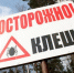 В 2020-м на Алтае ожидается невероятное число клещей - НовостиАлтая.рф