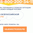 Ни смотря ни на что: добровольцы акции #МЫВМЕСТЕ помогают жителям края - Управление спорта и молодежной политики