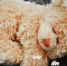 Фото: pixabay.com - ИА Амител