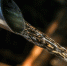 Фото: pixabay.com - ИА Амител