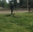 Покос травы находится на особом контроле властей - Администрация г. Барнаул
